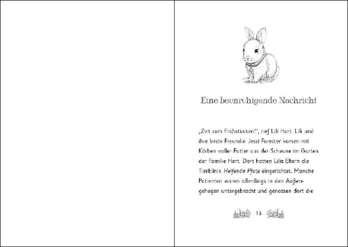 Buchcover und Innenansicht für das Buch: Pippa Hoppytail's Rocky Road