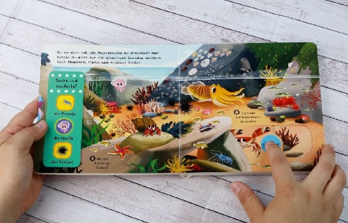 Buchcover und Innenansicht für das Buch: First Explorers - Sea Creatures