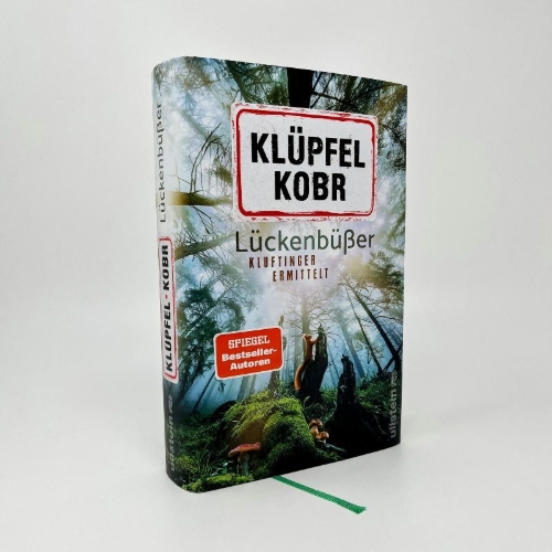 Buchcover und Innenansicht für das Buch: Lückenbüßer