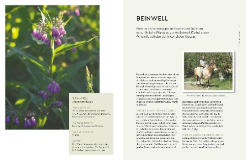 Buchcover und Innenansicht für das Buch: Unsere grüne Kraft - das Heilwissen der Familie Storl
