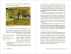 Buchcover und Innenansicht für das Buch: Grüne Städte