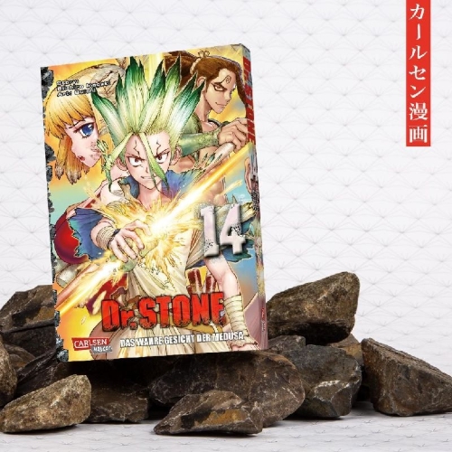 Buchcover und Innenansicht für das Buch: Dr. Stone