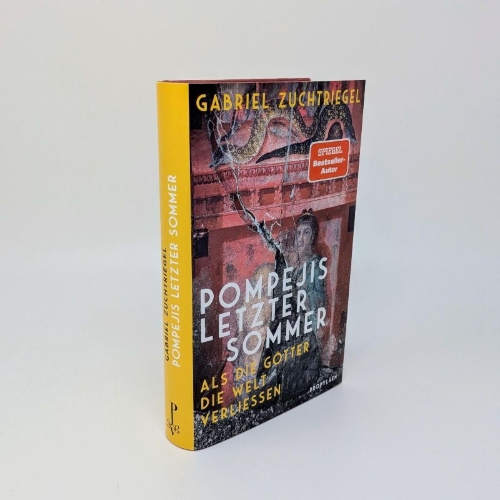 Buchcover und Innenansicht für das Buch: Pompejis letzter Sommer