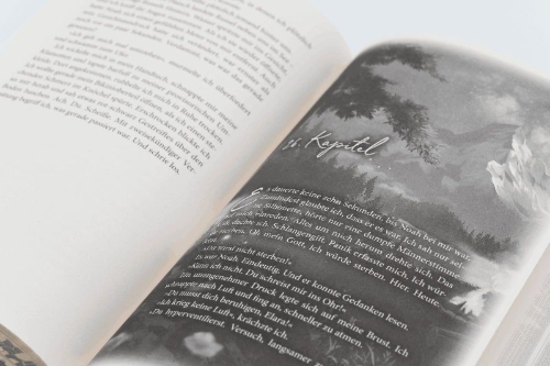 Buchcover und Innenansicht für das Buch: New Dreams