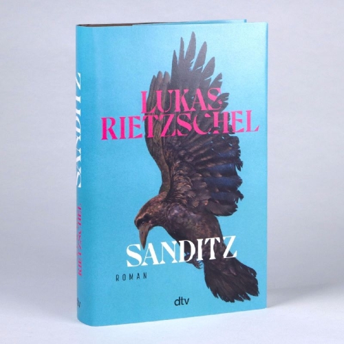 Buchcover und Innenansicht für das Buch: Sanditz