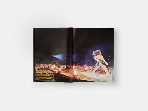 Buchcover und Innenansicht für das Buch: Rihanna