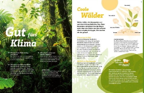 Buchcover und Innenansicht für das Buch: WAS IST WAS Der Wald. Zwischen Blättern und Zapfen