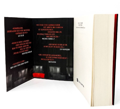 Buchcover und Innenansicht für das Buch: Thirteen