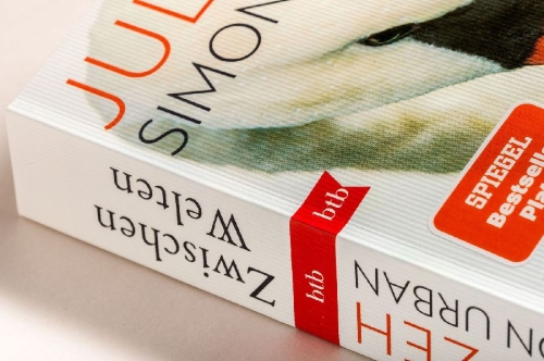 Buchcover und Innenansicht für das Buch: Zwischen Welten