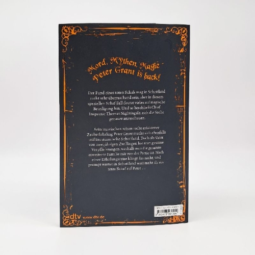 Buchcover und Innenansicht für das Buch: Stone and Sky