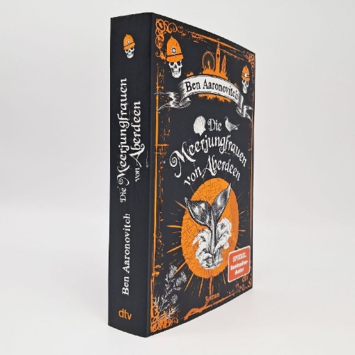 Buchcover und Innenansicht für das Buch: Stone and Sky