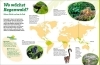 Buchcover und Innenansicht für das Buch: WAS IST WAS Regenwald. Wilde grüne Welt