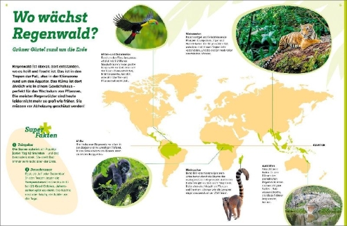 Buchcover und Innenansicht für das Buch: WAS IST WAS Regenwald. Wilde grüne Welt