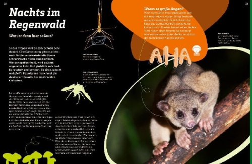 Buchcover und Innenansicht für das Buch: WAS IST WAS Regenwald. Wilde grüne Welt