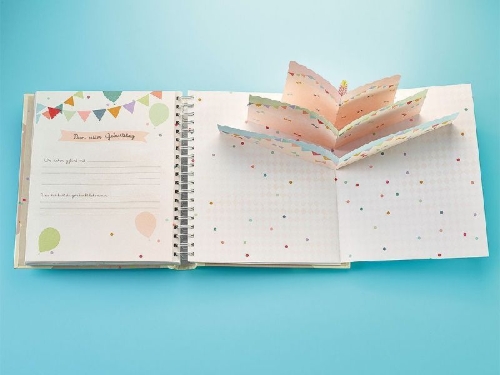 Buchcover und Innenansicht für das Buch: album de bébé
