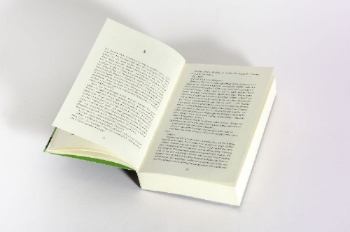 Buchcover und Innenansicht für das Buch: Wenn Ende gut, dann alles