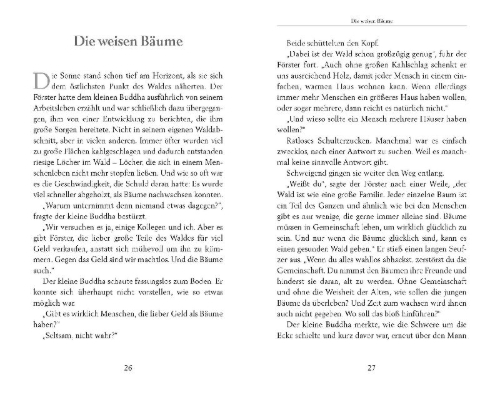 Buchcover und Innenansicht für das Buch: Der kleine Buddha und das Wunder der Zeit