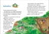 Buchcover und Innenansicht für das Buch: Das magische Baumhaus junior 01 - Abenteuer bei den Dinosauriern