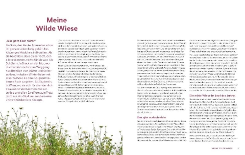 Buchcover und Innenansicht für das Buch: Wie Wildkräuter wirken