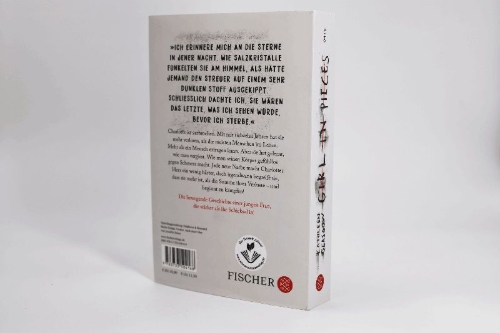 Buchcover und Innenansicht für das Buch: Girl in Pieces
