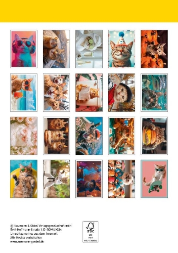 Buchcover und Innenansicht für das Buch: Postkartenblock Crazy Cats