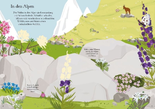 Buchcover und Innenansicht für das Buch: Mein Immer-wieder-Stickerbuch: Wildblumen