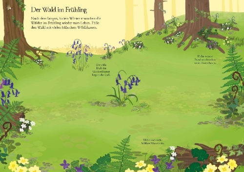Buchcover und Innenansicht für das Buch: Mein Immer-wieder-Stickerbuch: Wildblumen