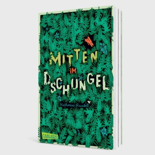 Buchcover und Innenansicht für das Buch: Explorer