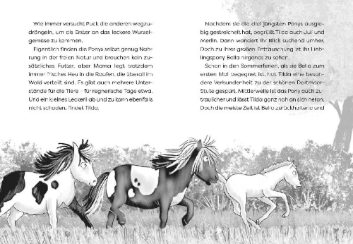 Buchcover und Innenansicht für das Buch: Die Waldponys (Band 2) - Vier Hufe retten den Schulausflug