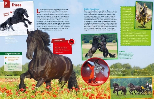 Buchcover und Innenansicht für das Buch: Was ist was: Pferde und Ponys
