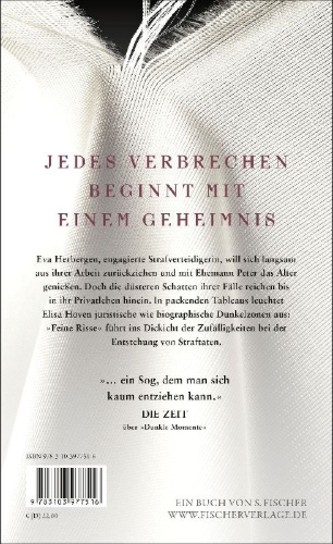 Buchcover und Innenansicht für das Buch: Feine Risse