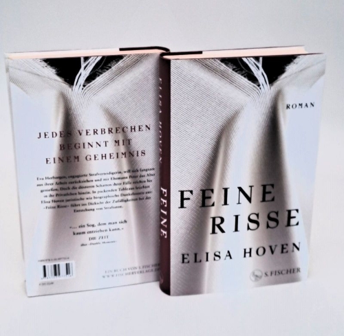 Buchcover und Innenansicht für das Buch: Feine Risse