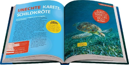 Buchcover und Innenansicht für das Buch: National Geographic Kids - Lexikon der Meere