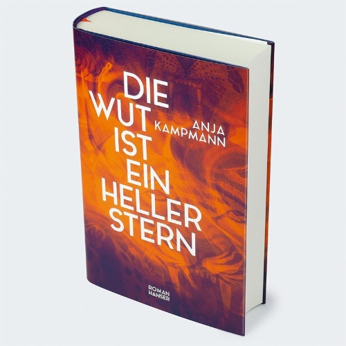 Buchcover und Innenansicht für das Buch: Die Wut ist ein heller Stern