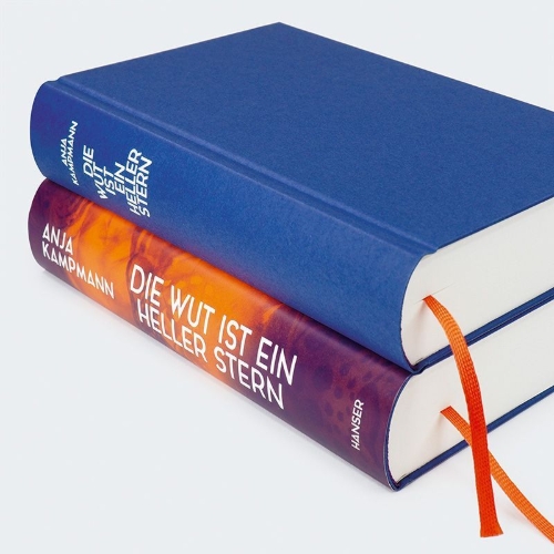 Buchcover und Innenansicht für das Buch: Die Wut ist ein heller Stern
