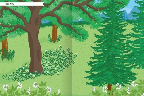 Buchcover und Innenansicht für das Buch: Naturforscher-Kids - Stickerheft Im Wald