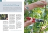 Buchcover und Innenansicht für das Buch: Obstgehölze schneiden