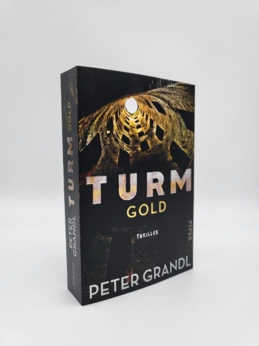 Buchcover und Innenansicht für das Buch: Turmgold