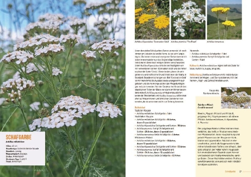 Buchcover und Innenansicht für das Buch: Klimastarke Stauden