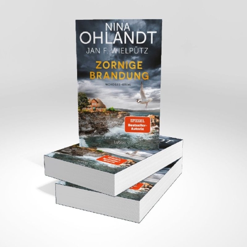 Buchcover und Innenansicht für das Buch: Zornige Brandung