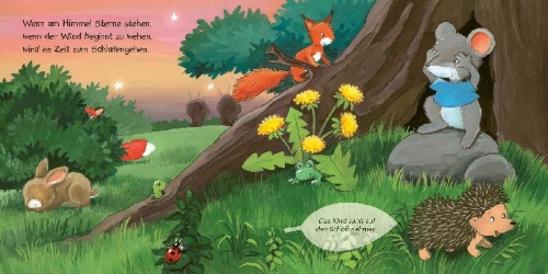 Buchcover und Innenansicht für das Buch: Wenn am Himmel Sterne stehen