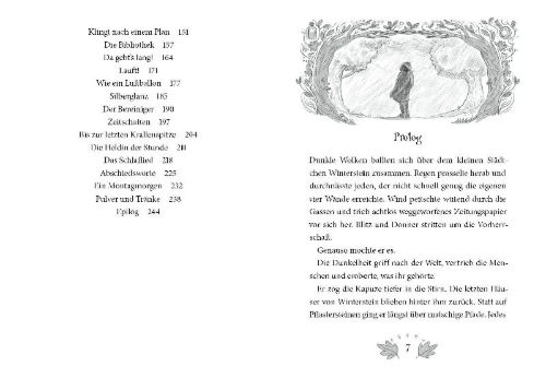 Buchcover und Innenansicht für das Buch: Flüsterwald