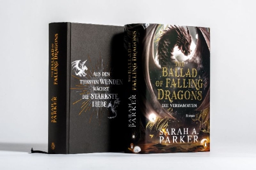 Buchcover und Innenansicht für das Buch: The Ballad of Falling Dragons