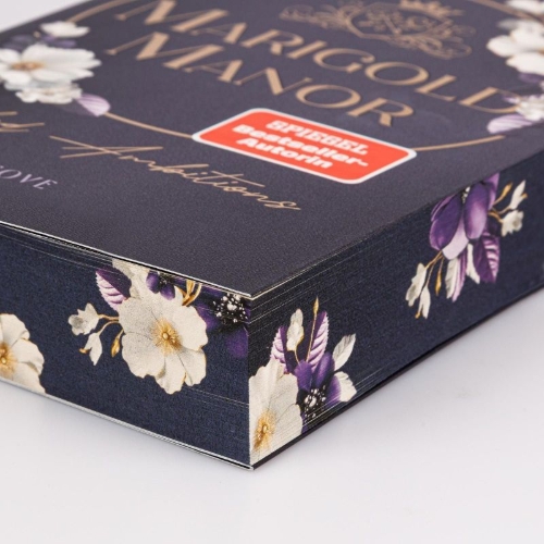Buchcover und Innenansicht für das Buch: Marigold Manor 2: Veiled Ambitions