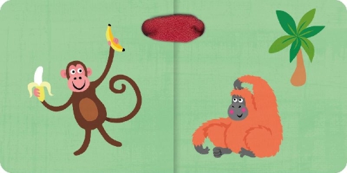 Buchcover und Innenansicht für das Buch: Kleine bunte Welt - Dschungel & Safari