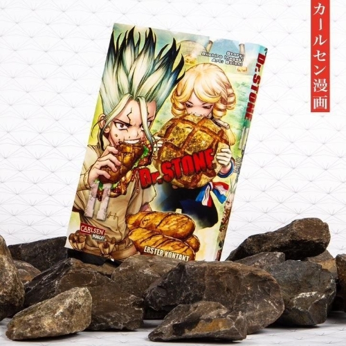 Buchcover und Innenansicht für das Buch: Dr. Stone