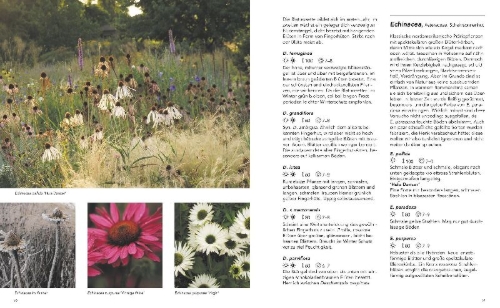 Buchcover und Innenansicht für das Buch: Gärten inspiriert von der Natur