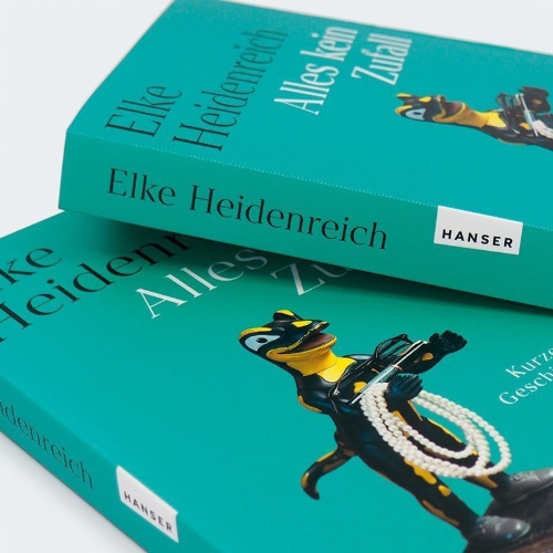 Buchcover und Innenansicht für das Buch: Alles kein Zufall