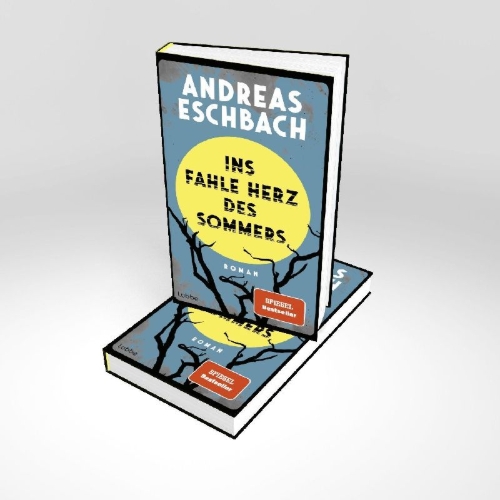 Buchcover und Innenansicht für das Buch: Ins fahle Herz des Sommers