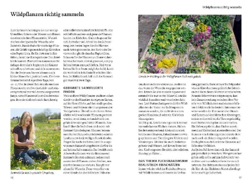 Buchcover und Innenansicht für das Buch: Unsere essbaren Wildpflanzen